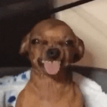 GawdUsopp giphycreatortest tongue freaky freak GIF