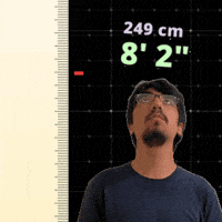 8Ft GIF