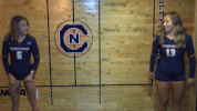 cnvb 2018cnvb GIF by Carson-Newman Athletics
