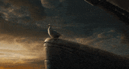 Robert Downey Jr GIF by Dolittle