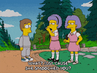 homer simpson episode 20 GIF