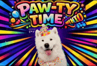Party Celebration GIF