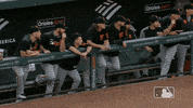 major league baseball sport GIF by MLB