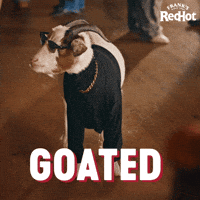 Super Bowl Franks GIF by franksredhot