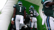 lewis jr football GIF by GreenWave