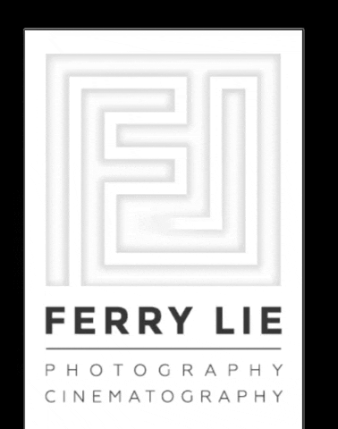 ferrylie giphygifmaker GIF