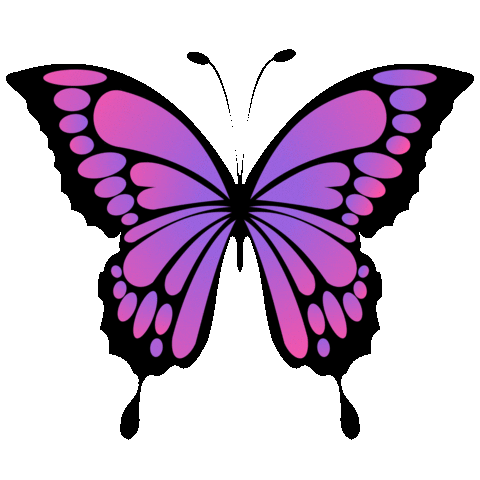 Purple Butterfly Sticker by Bel Diniz