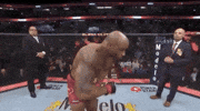 Yoel Romero Sport GIF by UFC