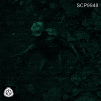 Liminal Space Entity GIF by Komplex