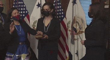 Kamala Harris Applause GIF by GIPHY News