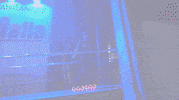 Rollerskating Rollerblading GIF