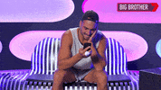 Bbau GIF by Big Brother Australia