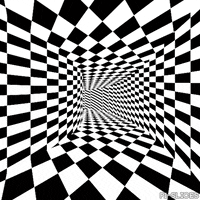 pislices loop 3d trippy black and white GIF