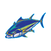 wonews mexico california fishing west Sticker
