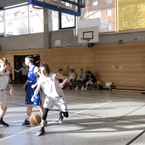 BC_Erfurt giphyupload basketball bce bcerfurt GIF
