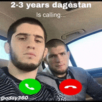 Islam Makhachev Ufc GIF