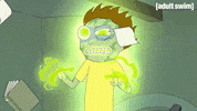 Season 3 Episode 308 GIF by Rick and Morty