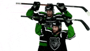 Black Bears GIF by Binghamton Black Bears