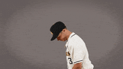Ryan Lewis Baseball GIF by Cal State LA Golden Eagles