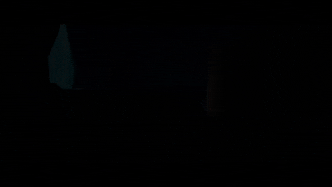 GIF by Signature Entertainment