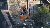 Street Art Summer GIF