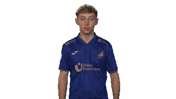 Tsg Hoffenheim Vbl Sticker by Bundesliga