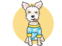 Morkie Sticker