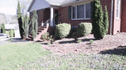 House Flip Building GIF by JC Property Professionals