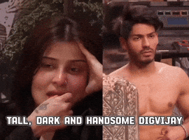 Roadies Digdin GIF