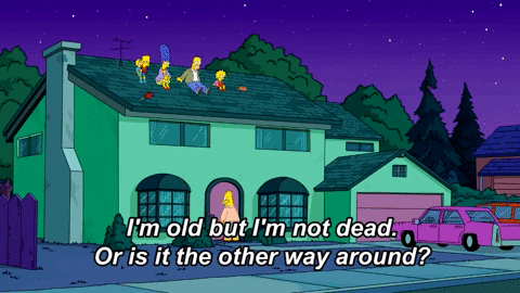 Aging The Simpsons GIF by AniDom