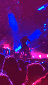 Vessel Eia GIF