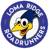 Dash Roadrunner Sticker by LRE