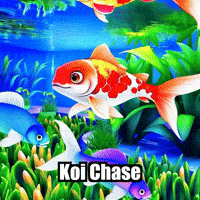 Koi Fish Fun GIF by TheConfishius