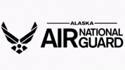 Air Force Army GIF