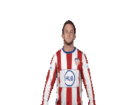 VVALFASPORT goal m alfa sport marc hermens Sticker