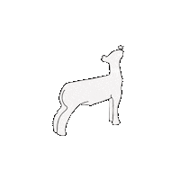 nestatefair sheep fair ne lamb Sticker
