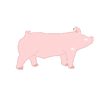 nestatefair animals winner shower farm Sticker