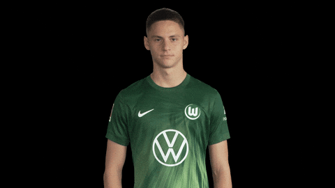 Bundesliga No GIF by VfL Wolfsburg