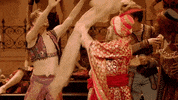 Enblecorsaire GIF by English National Ballet
