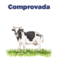 homeo-vita homeopatia equinos bovinos homeopatia animal Sticker