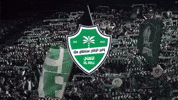 Afc Alahli GIF