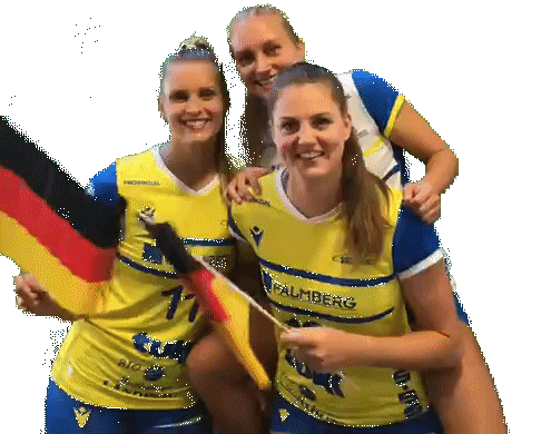 SSCPalmberg_Schwerin giphyupload volleyball wm ssc Sticker