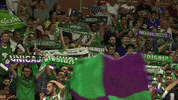 liga endesa basketball GIF by ACB