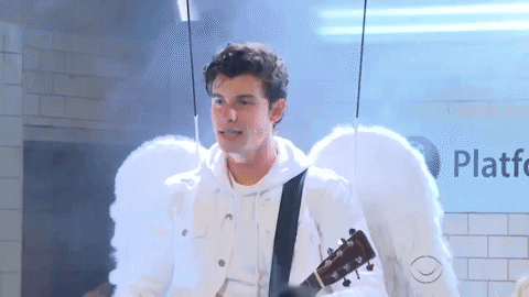 shawn mendes GIF