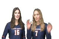C-N Volleyball Sticker by Carson-Newman Athletics