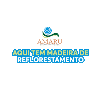 amarusustentabilidade amaru amarusustentabilidade amaru sustentabilidade madeira amaru Sticker