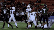 usu GIF by USUAthletics