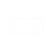 Unleash Phd Student Sticker