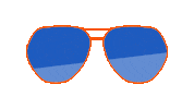 Summer Flying Sticker by Apollo Optik