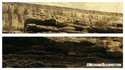 GIF by Lionsgate